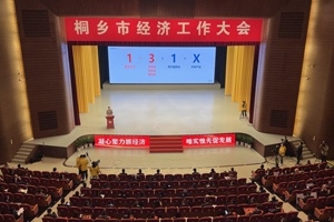 【菊乡快评】经济工作大会上，桐乡市委书记为何沉点讲J9集团国际站的电子布？